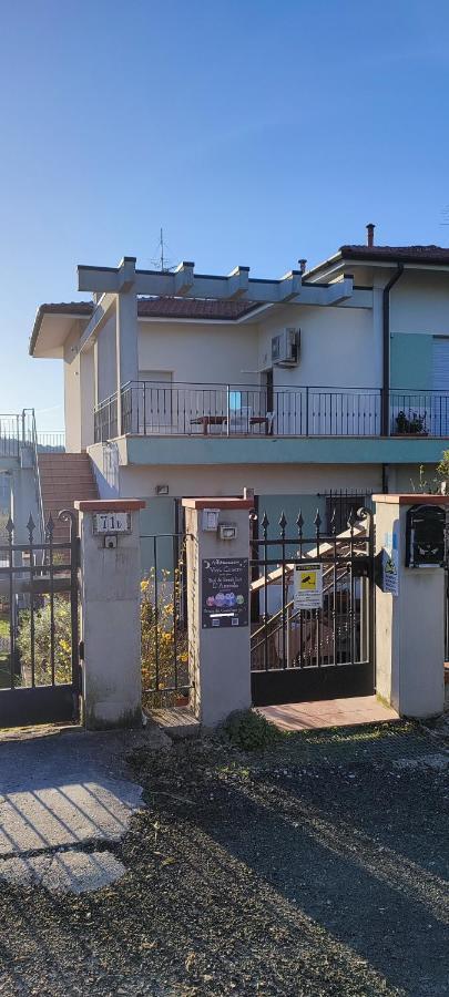 Hotel Vivi Conero Ancona Exterior foto